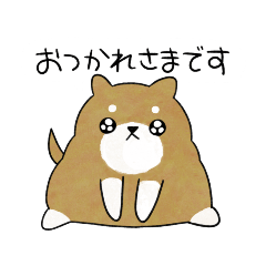 [LINEスタンプ] かわいい柴犬♥️「毎日使える！」