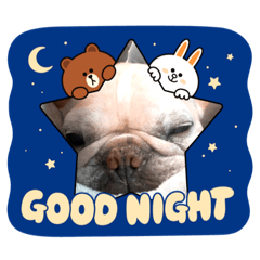 [LINEスタンプ] Bruna＆Brothers