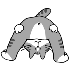 [LINEスタンプ] うちのねこさまたちスタンプ