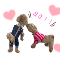 [LINEスタンプ] すーくんとまーちゃん