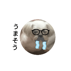 [LINEスタンプ] シーズー“ピース”