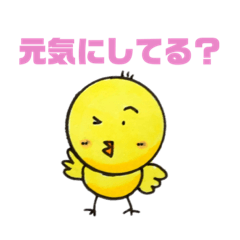 [LINEスタンプ] ピヨピヨマーケット2   piyopiyomarket2