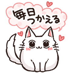 [LINEスタンプ] お返事＋挨拶☆もふねこ