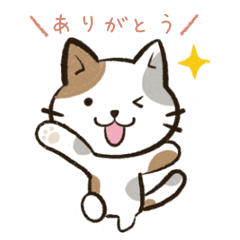 [LINEスタンプ] 猫の_日常生活