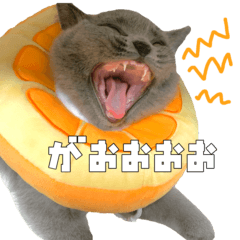 [LINEスタンプ] とろろの日常2