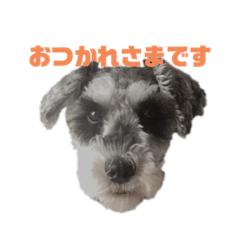 [LINEスタンプ] 僕ロビンです