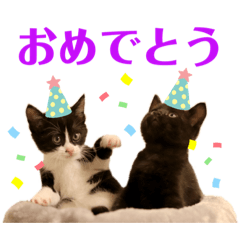 [LINEスタンプ] ぱちくろ2