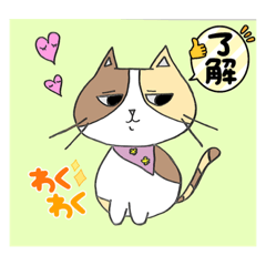 [LINEスタンプ] シンプル☆猫ちゃんスタンプ3