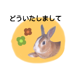 [LINEスタンプ] うさぎの若6