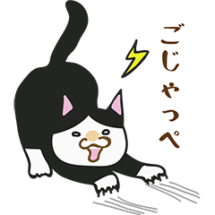 [LINEスタンプ] ハチワレ猫の茨城弁