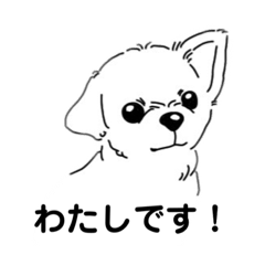 [LINEスタンプ] ポム助スタンプ