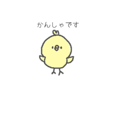 [LINEスタンプ] ぴよこ にわとり[有料]