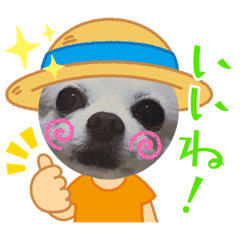 [LINEスタンプ] 日常のショコラ2