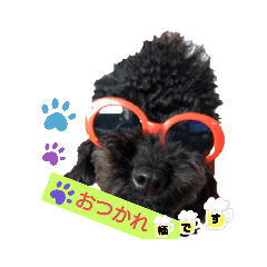 [LINEスタンプ] プードル ルーク