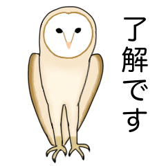 [LINEスタンプ] フクロウさんのスタンプ