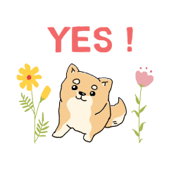 [LINEスタンプ] 柴犬のまるくん「毎日使える」スタンプ★