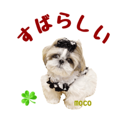 [LINEスタンプ] 可愛い日常の会話