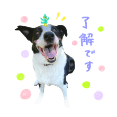 [LINEスタンプ] 牧場の動物スタンプ