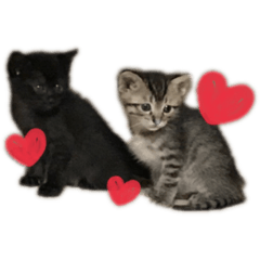 [LINEスタンプ] 多田家の日常