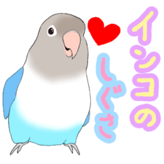 [LINEスタンプ] インコのしぐさ2