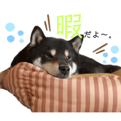 [LINEスタンプ] 黒豆と小豆