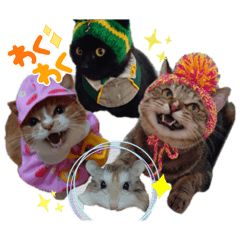 [LINEスタンプ] そらうみりく3にゃん＋コト姉スタンプ
