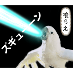 [LINEスタンプ] オウムのチョッパー2