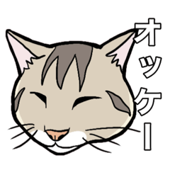 [LINEスタンプ] キジトラの日常★