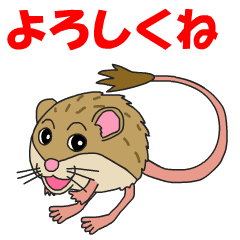 [LINEスタンプ] かわいいトビネズミ