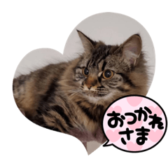 [LINEスタンプ] ルナちゃんのスタンプvar.1