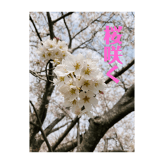 [LINEスタンプ] めっちゃ綺麗な自然