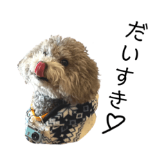 [LINEスタンプ] 犬わんちゃんねる24jr版