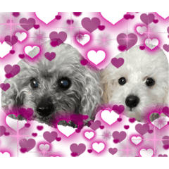 [LINEスタンプ] me♡mo