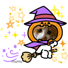 [LINEスタンプ] むむハロウィン＆その他