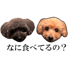 [LINEスタンプ] ふらんとりさ