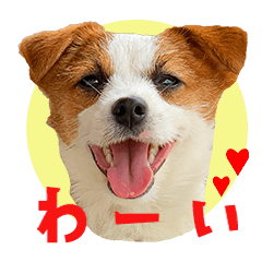 [LINEスタンプ] つぶの日。スタンプ第1弾の画像（メイン）