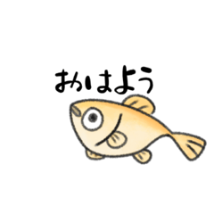 [LINEスタンプ] 日常のめだかさん