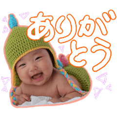 [LINEスタンプ] しょまひび邸の恐竜