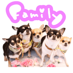 [LINEスタンプ] Dandy's Family
