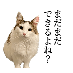 [LINEスタンプ] わがはいとしょう