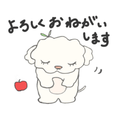 [LINEスタンプ] 真っ白小さなふわふわ犬。こつぶちゃん