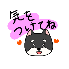 [LINEスタンプ] 黒柴ごあいさつ