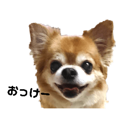 [LINEスタンプ] NENEスタンプ