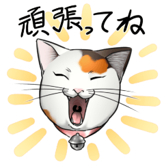 [LINEスタンプ] アニマルチャン