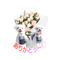 [LINEスタンプ] 花ちゃんと夢ちゃんの日常スタンプ