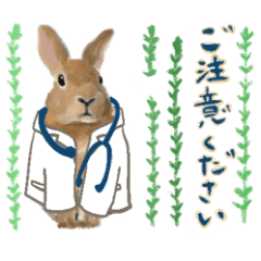 [LINEスタンプ] うさぎの「ピカちゃん」