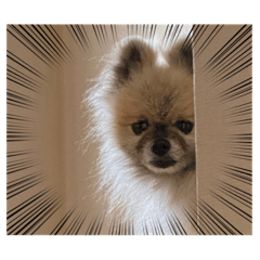 [LINEスタンプ] れお↑ぽん↓3