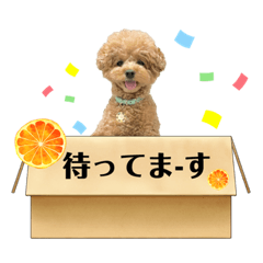 [LINEスタンプ] ペニ子☆とfruitsたち