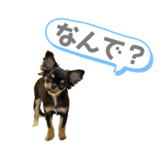 [LINEスタンプ] まだ赤ちゃんだから