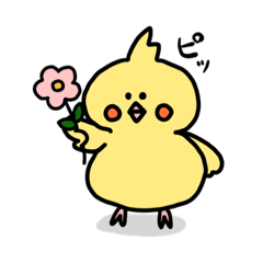 [LINEスタンプ] お太り中のまんまるオカメインコさん